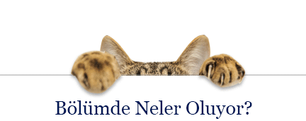 Bölüm Blog Sayfasına Gitmek için Tıklayın