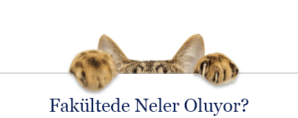 Fakülte Blog sayfasına gitmek için tıklayın.